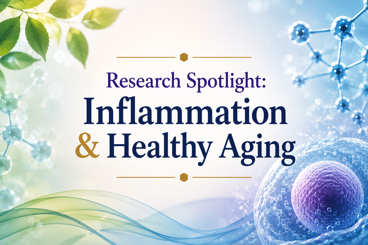 Research Spotlight: New Findings on Inflammation and Healthy Aging